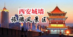国内插逼视频免费中国陕西-西安城墙旅游风景区