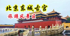 操妇女视频爽歪歪中国北京-东城古宫旅游风景区